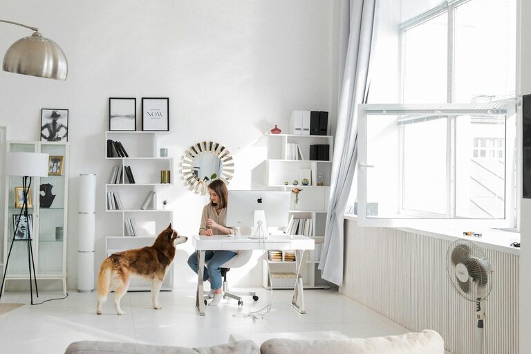resized_1832911